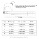 Coleira de identificação de couro